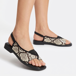 Snakeskin Pattern